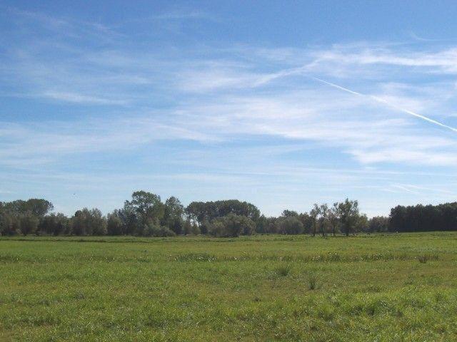 Zur-Alten-Schmiede-Ii Boltenhagen  Bagian luar foto